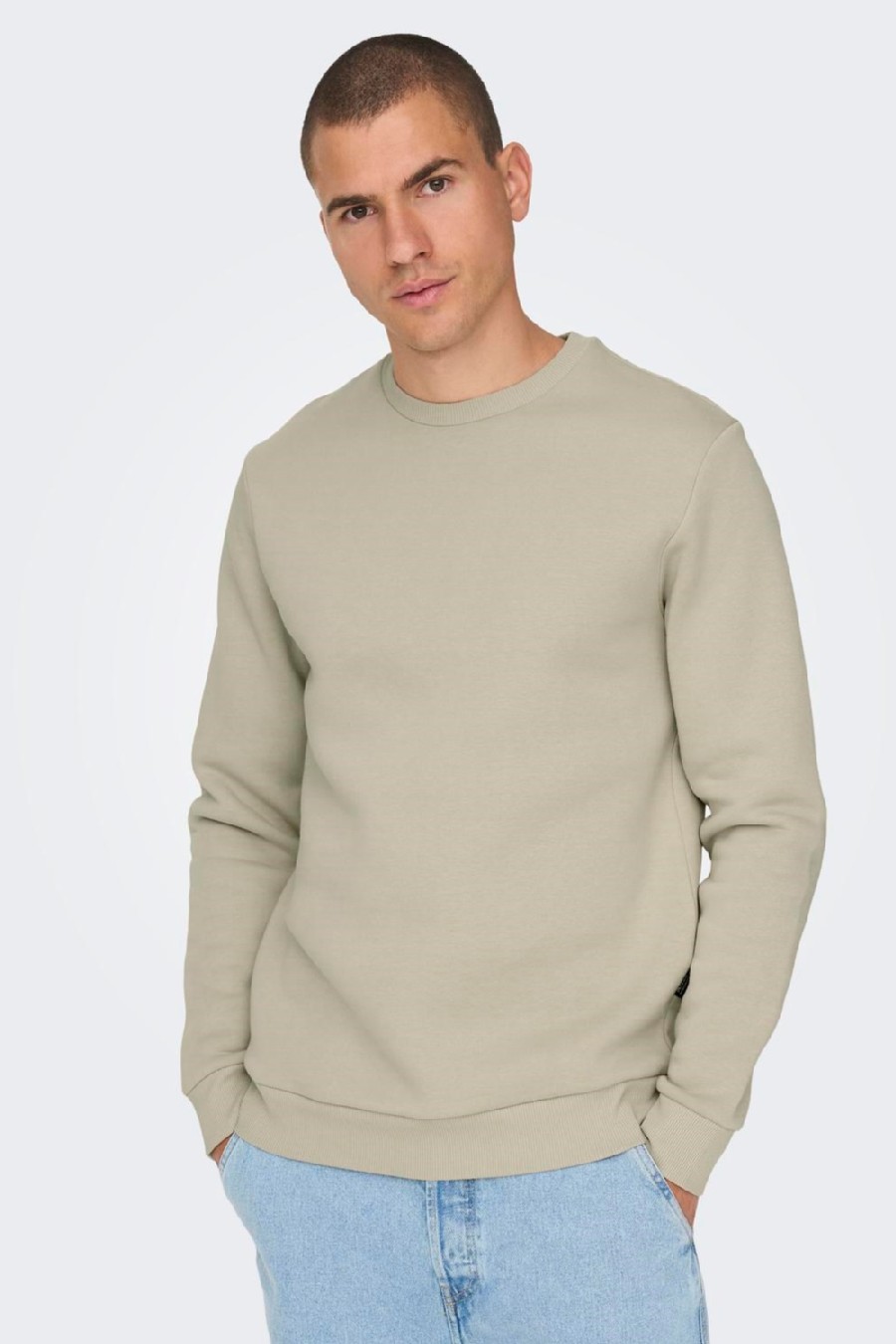 Sweatshirt ONLY & SONS 22018683-Silver-Lining