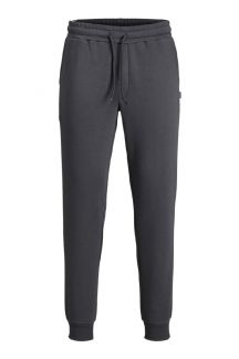 Sweathosen JACK & JONES 12195726-Asphalt