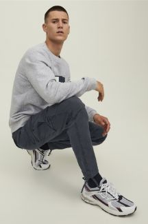 Cargohose JACK & JONES 12216664-Asphalt