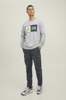 Cargohose JACK & JONES 12216664-Asphalt