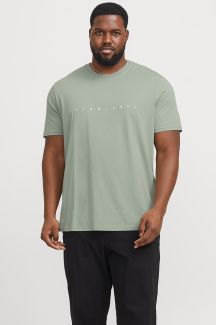 T-Shirts JACK & JONES 12243625-Iceberg-Green