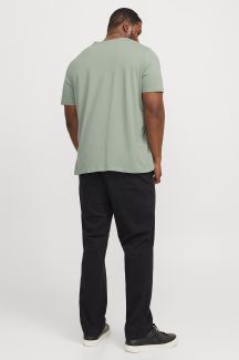 T-Shirts JACK & JONES 12243625-Iceberg-Green