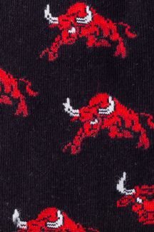 Socken JOHN FRANK JFLSFUN129