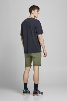 Teksašortsid JACK & JONES 12232400-Deep-Lichen-Gr