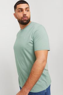T-särgid JACK & JONES 12253778-Iceberg-Green