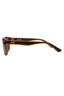 Sunglasses SUPERDRY SDS-ROCKSTEP-104