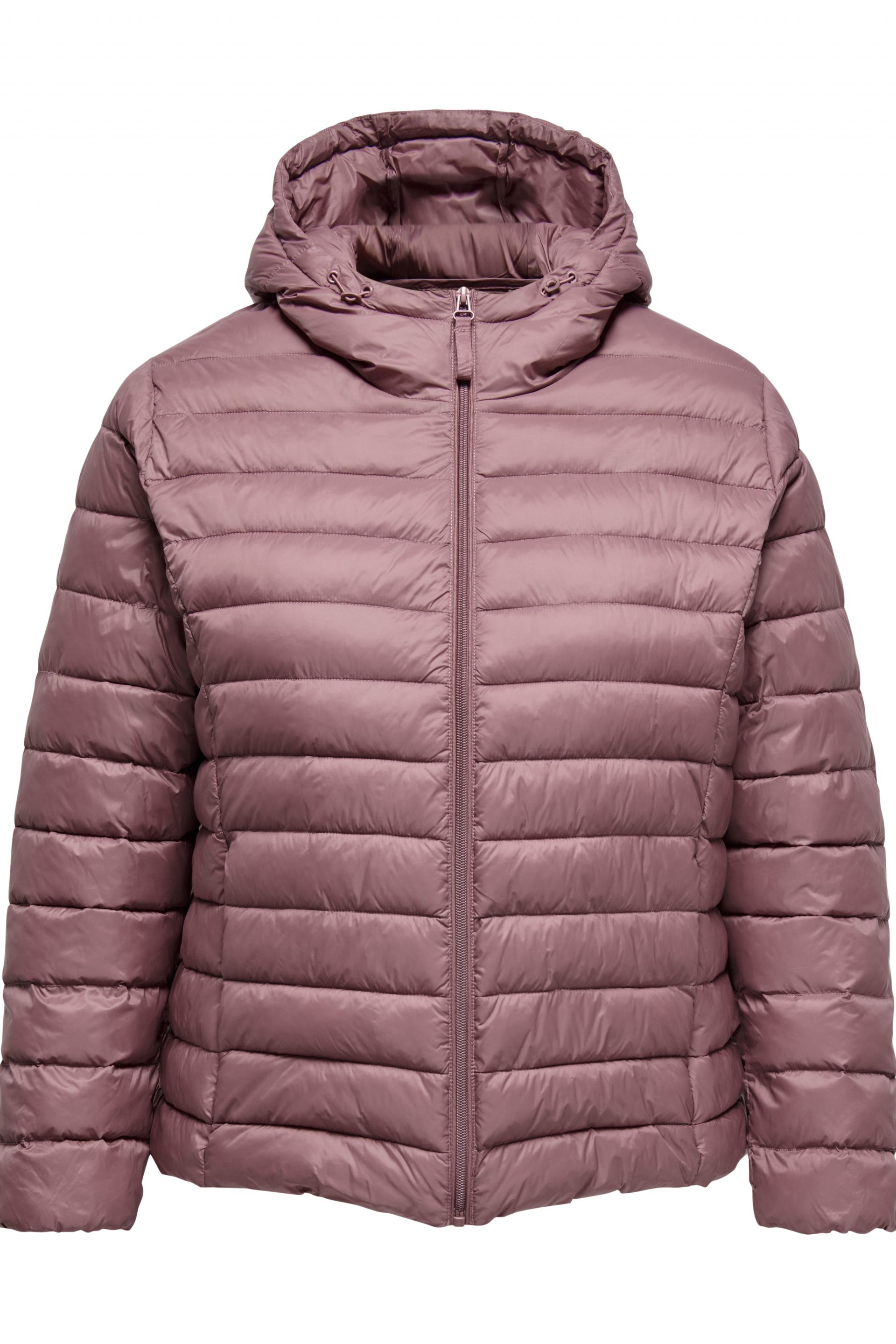 Jacket ONLY CARMAKOMA 15366368-Rose-Brown