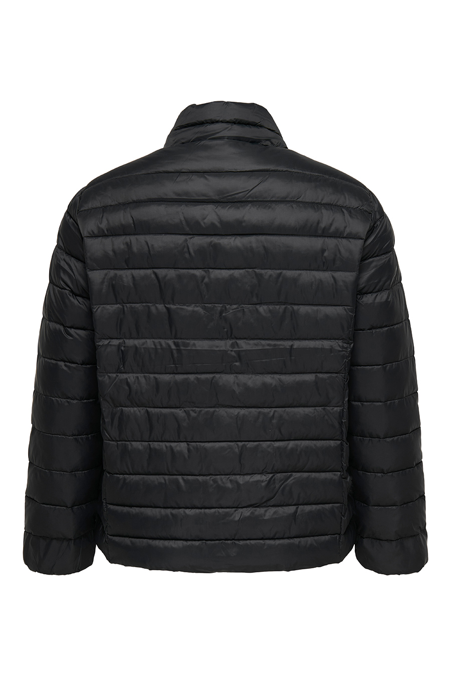 Jacket ONLY CARMAKOMA 15352684-Black