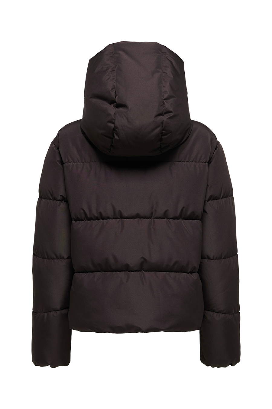 Winter jacket ONLY 15365799-Chocolate-Tor