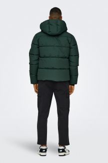 Winter jacket ONLY & SONS 22029661-Darkest-Spruc