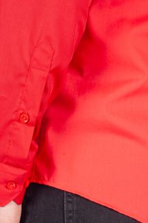 Shirt BZN 1855-S-PP-480