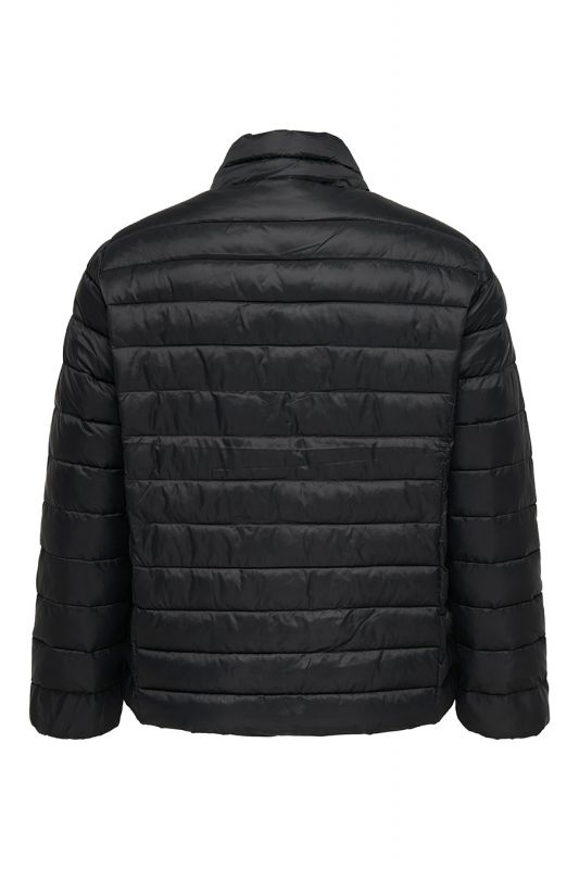 Jacket ONLY CARMAKOMA 15352684-Black