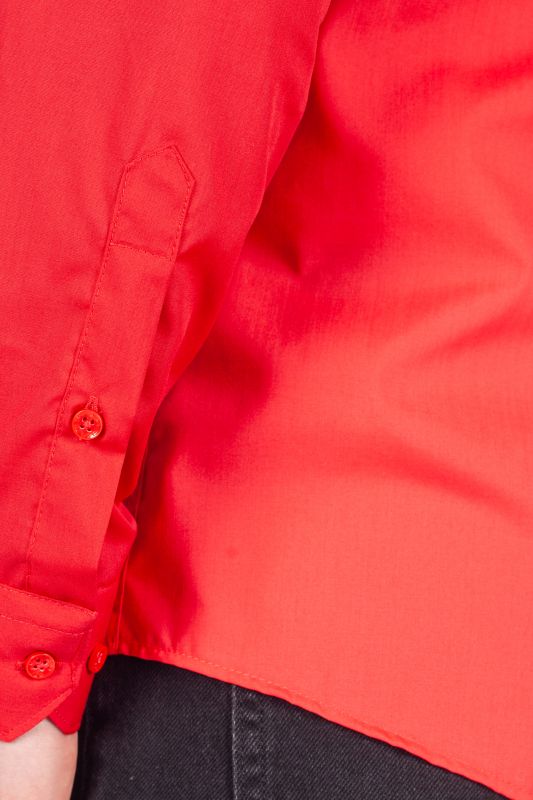 Shirt BZN 1855-S-PP-480