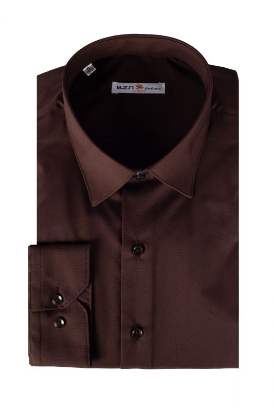 Shirt BZN 1855-S-PP-494