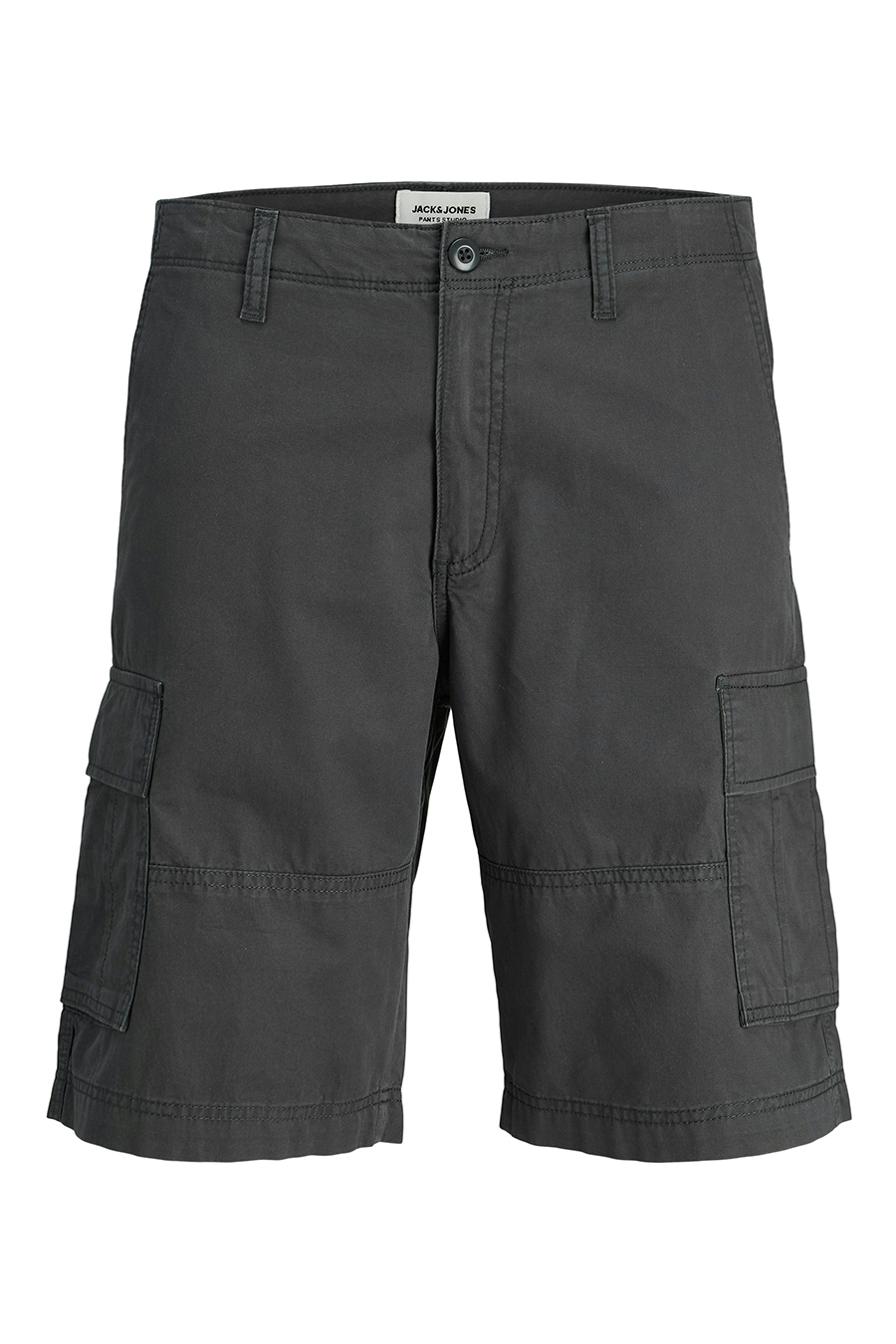 Įvairūs šortai JACK & JONES 12254276-Castlerock