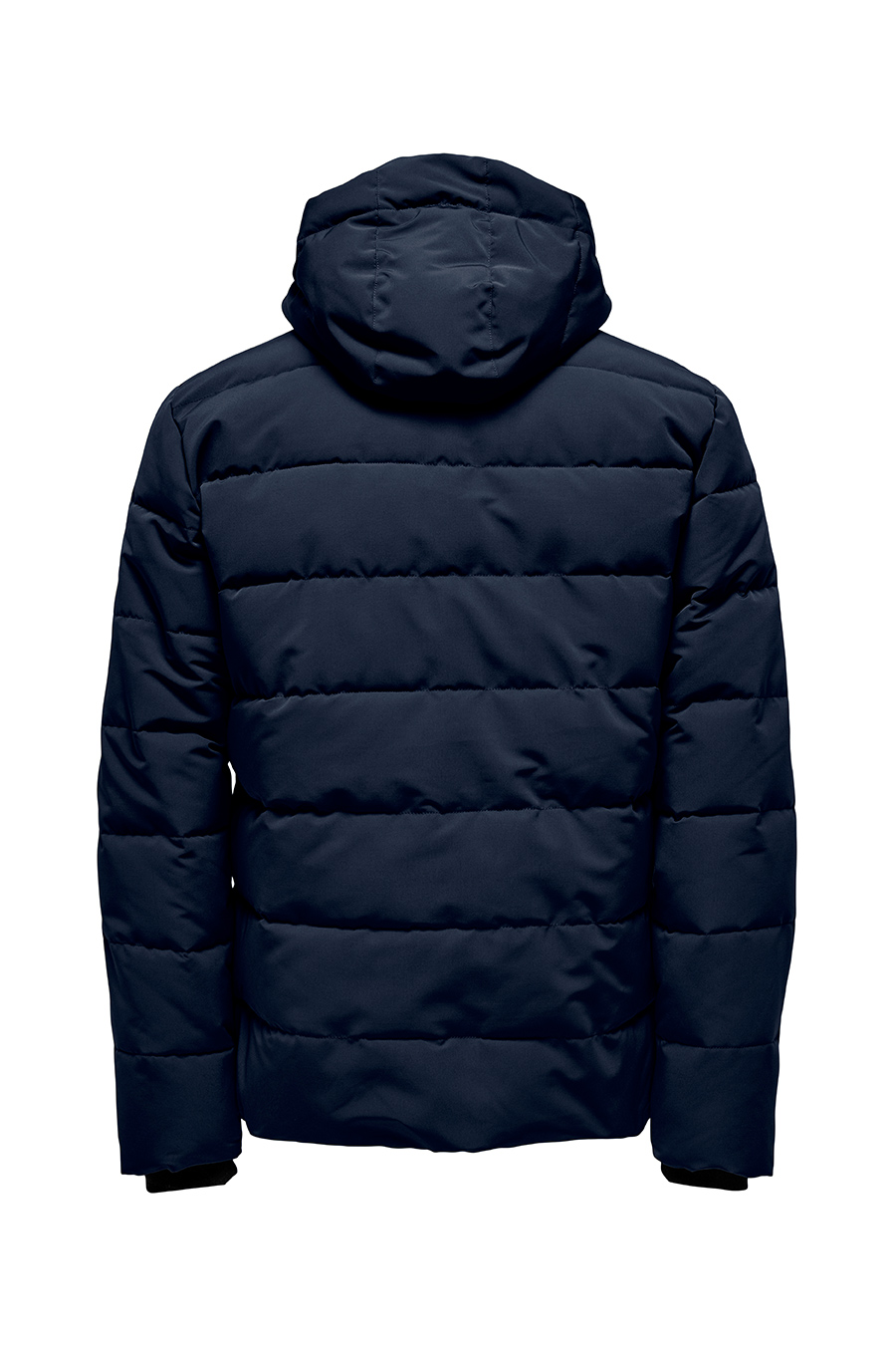 Žieminė striukė ONLY & SONS 22019598-Navy-Blazer