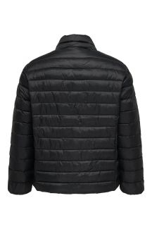 Striukė ONLY CARMAKOMA 15352684-Black