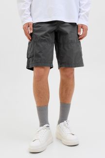Įvairūs šortai JACK & JONES 12254276-Castlerock