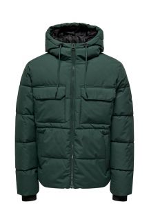 Žieminė striukė ONLY & SONS 22029661-Darkest-Spruc