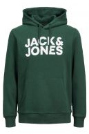 Sporta džemperis JACK & JONES 12152840-Pine-Grove