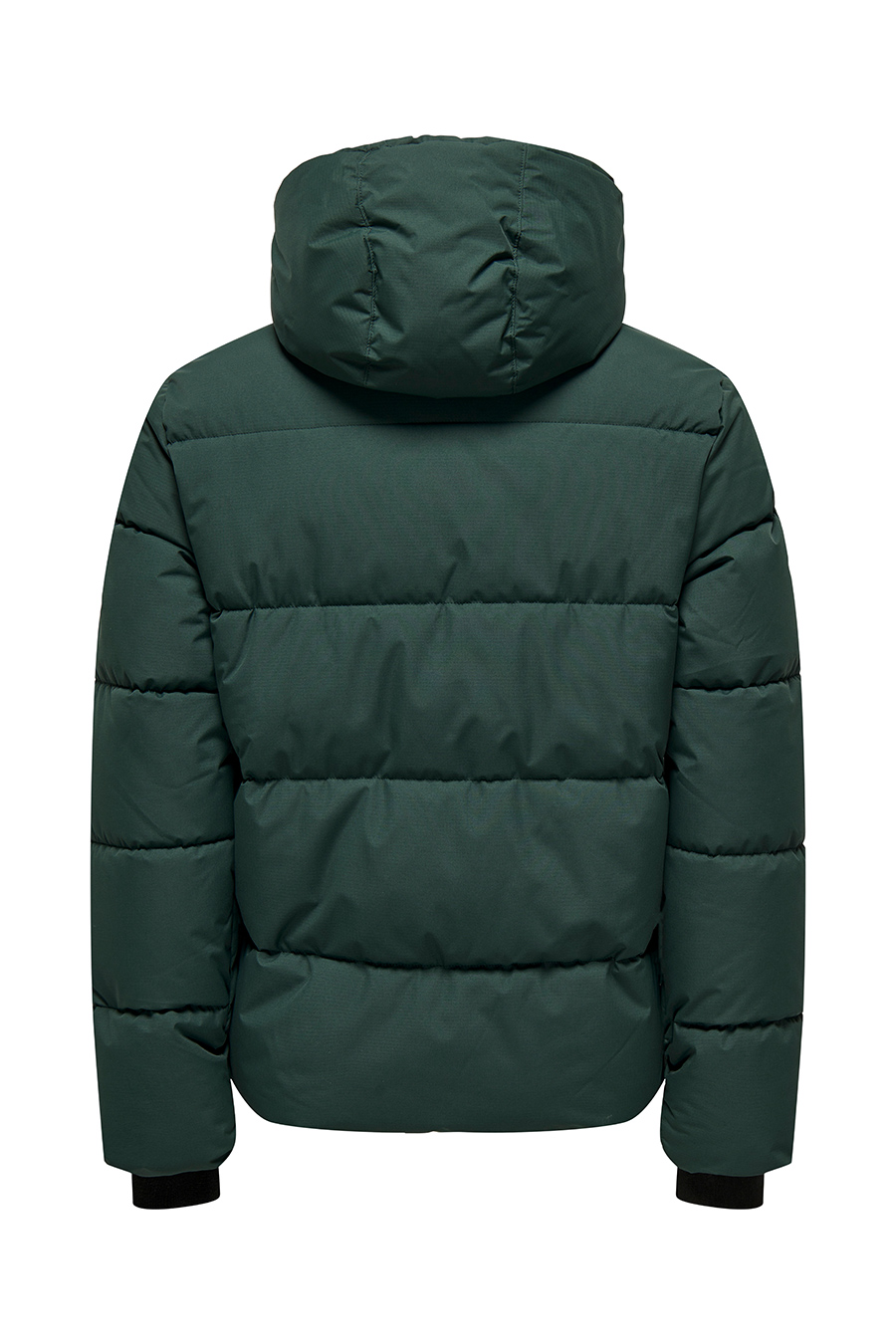 Ziemas jaka ONLY & SONS 22029661-Darkest-Spruc