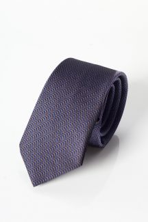 Kaklasaite NINO PACOLI MICRO-DESEN-2