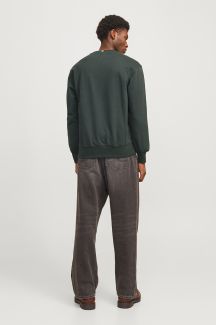 Sporta džemperis JACK & JONES 12285949-Forest-River