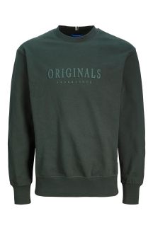 Sporta džemperis JACK & JONES 12285949-Forest-River