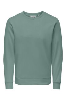 Sporta džemperis ONLY & SONS 22034529-Chinois-Green
