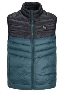 Veste JACK & JONES 12258457-Magical-Fores