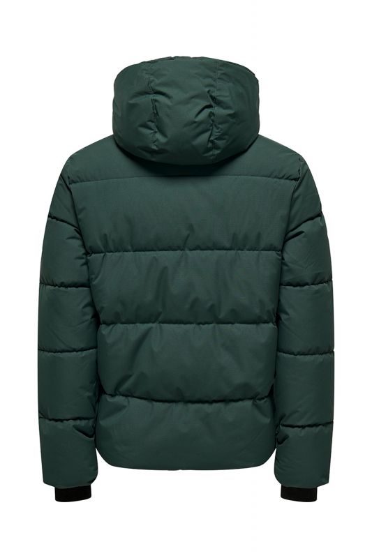 Ziemas jaka ONLY & SONS 22029661-Darkest-Spruc