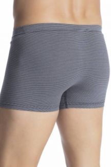 Боксеры TOM TAILOR 70493-6061-632